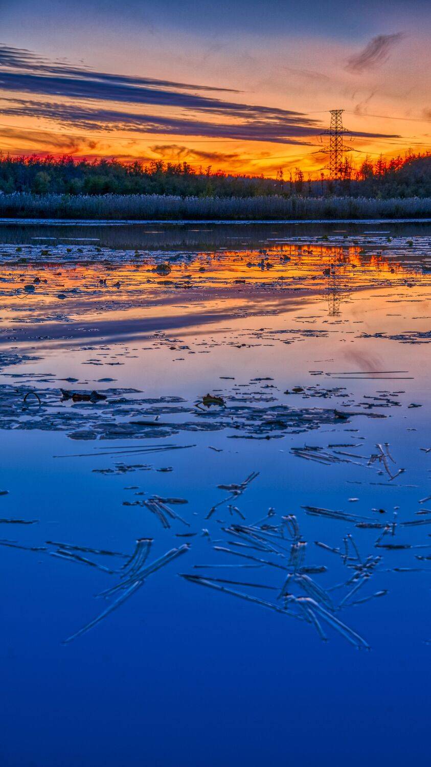 Фотография #7291409