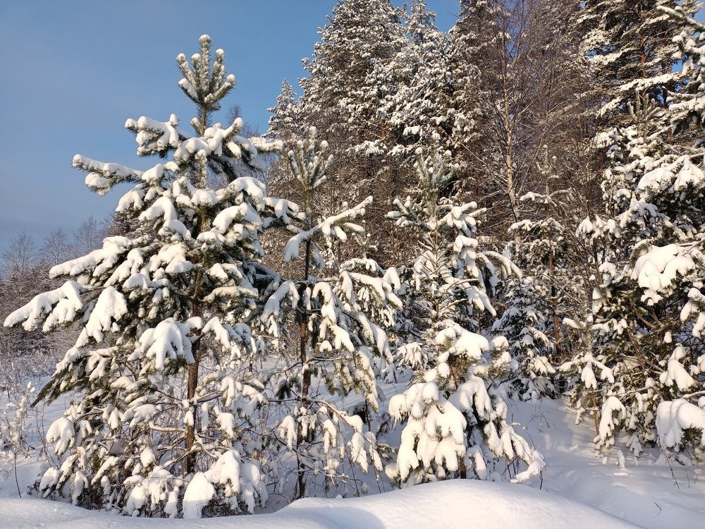 Photo #7291414