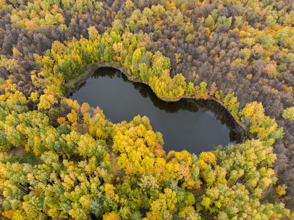 Photograph by Вячеслав