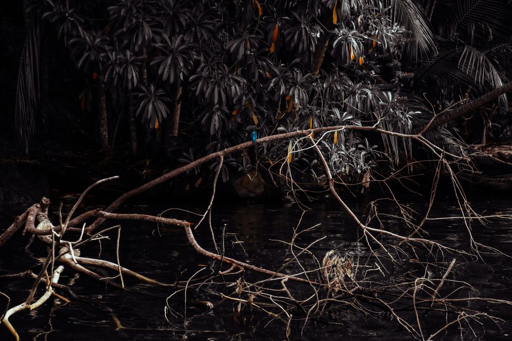 Photograph by Георгий