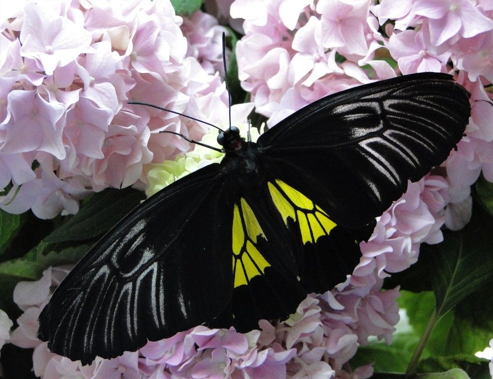 Photograph by Oksana