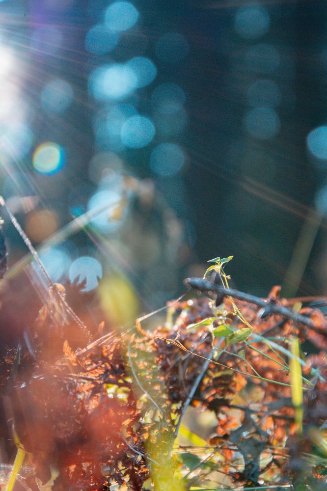 Photograph by Nataly Kiru