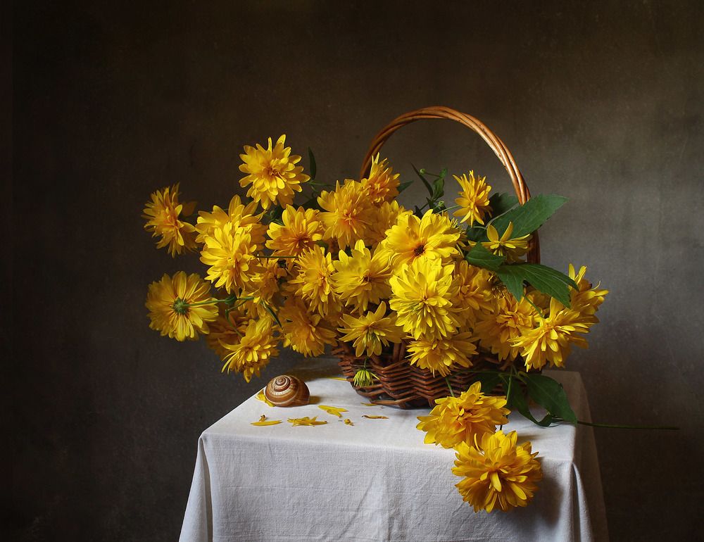 Photograph by Курочкина Диана