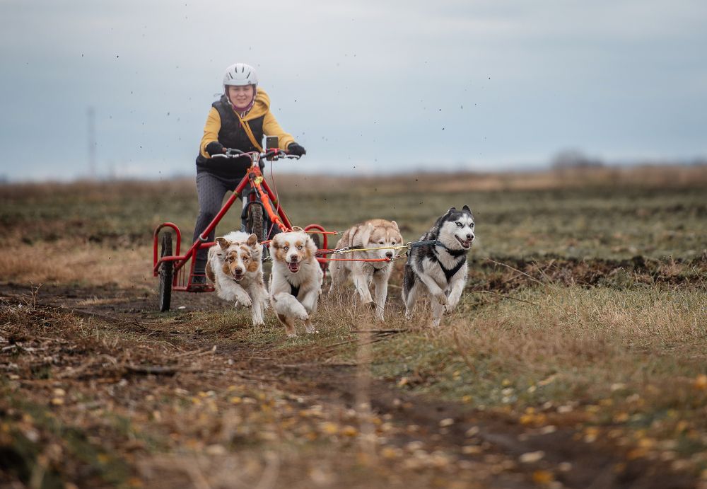 Photograph by Юлия Гасс