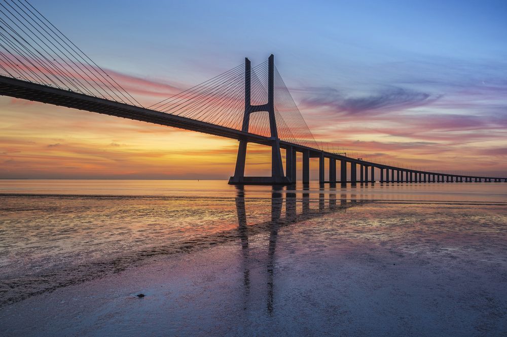 Photograph by Biliana Stefanova