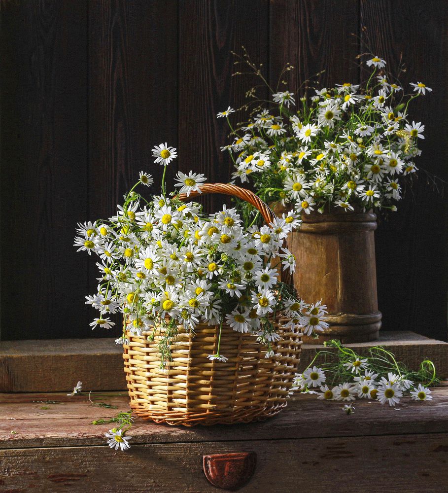 Photograph by Наталья Казанцева