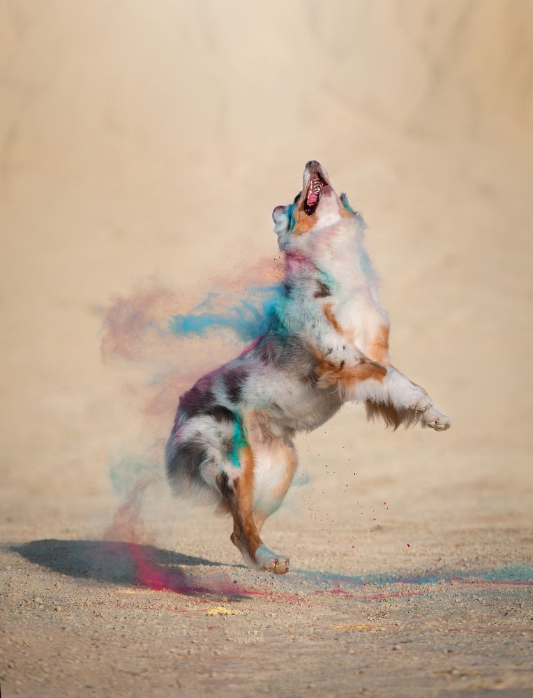 Photograph by Юлия Гасс