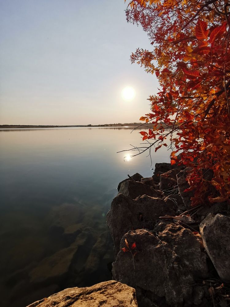 Photograph by Светлана Епифанова