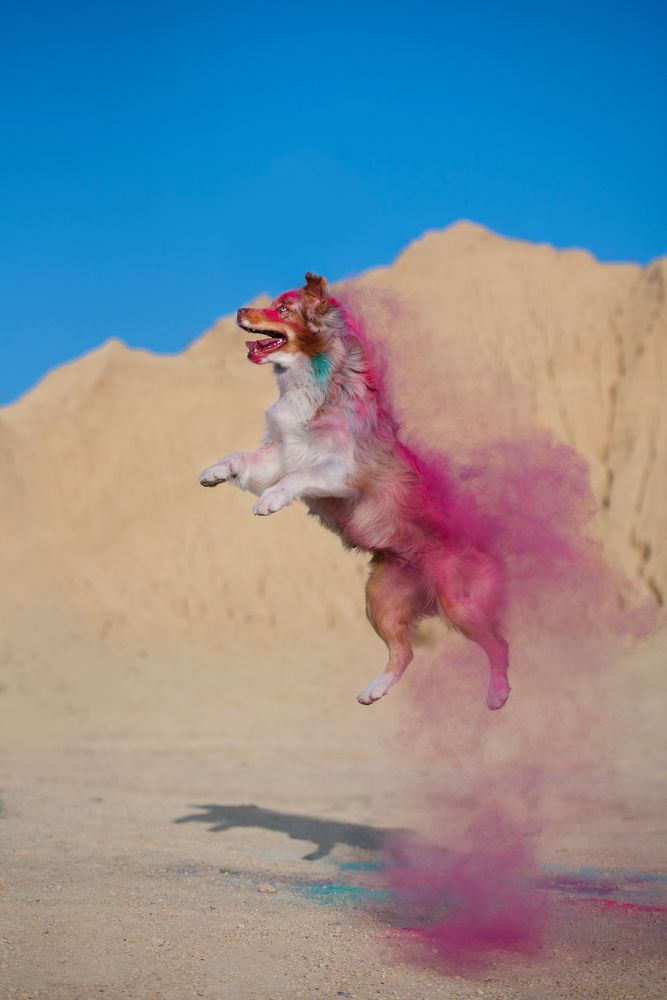 Photograph by Юлия Гасс