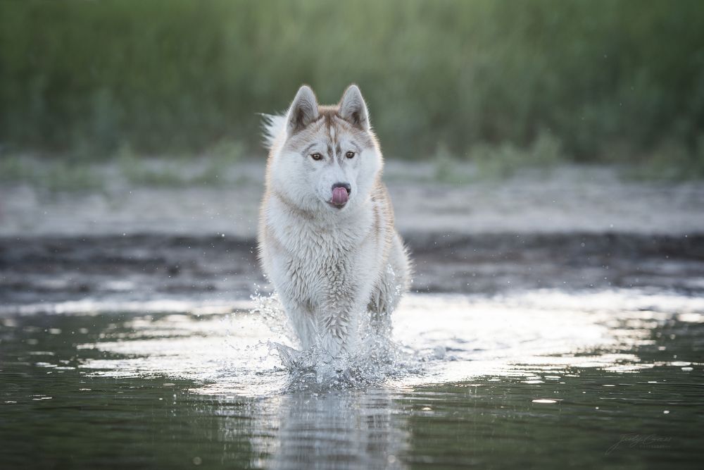 Photograph by Юлия Гасс