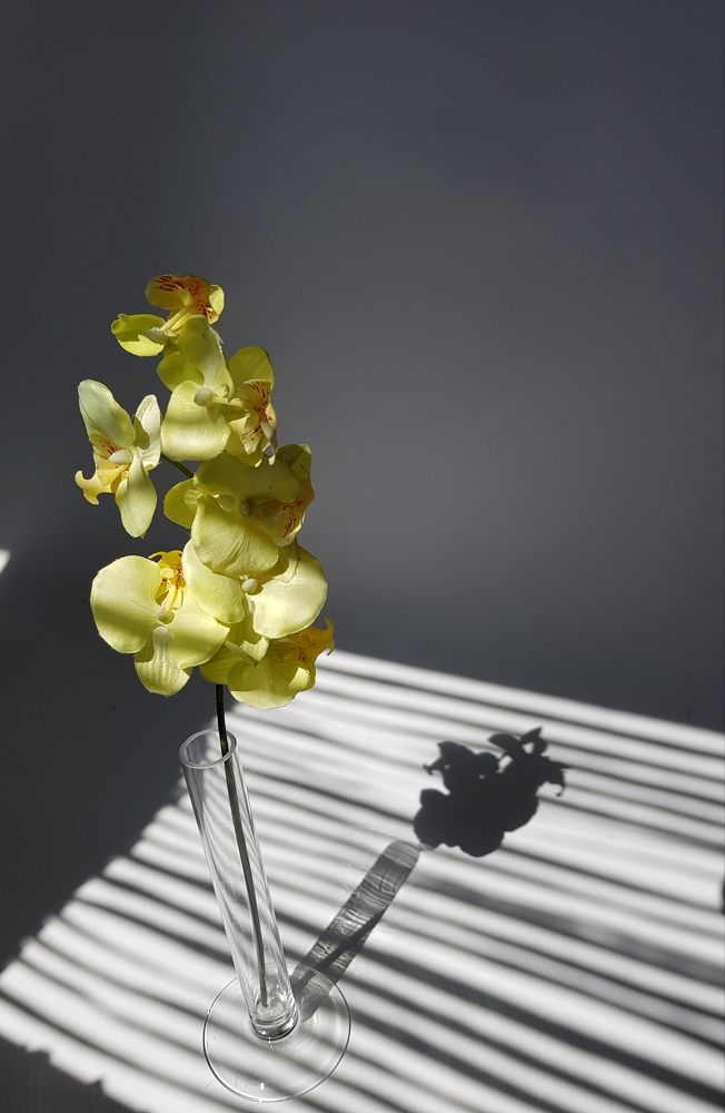 Photograph by Айгуль Каранова