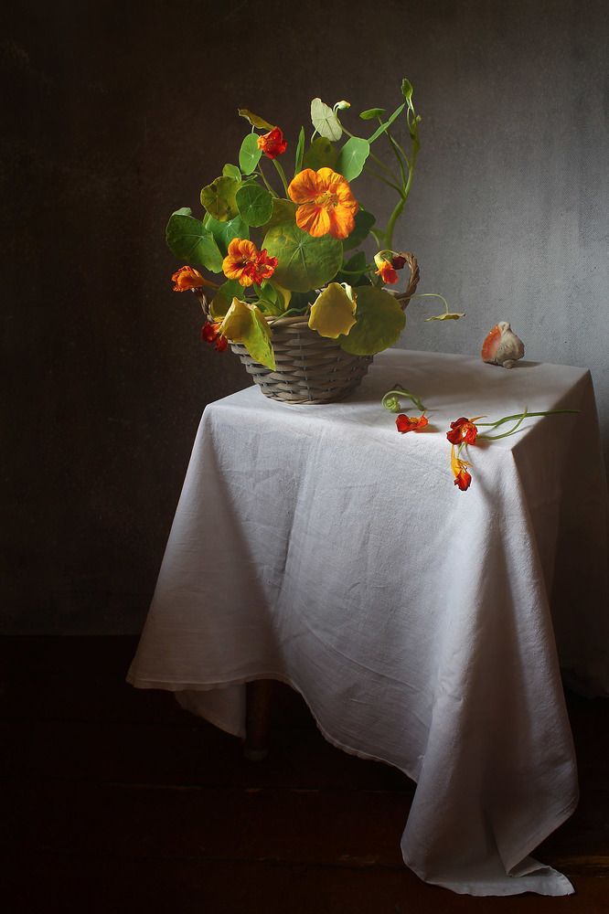 Photograph by Курочкина Диана