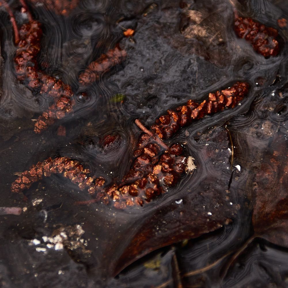 Photograph by Слава Саломатин