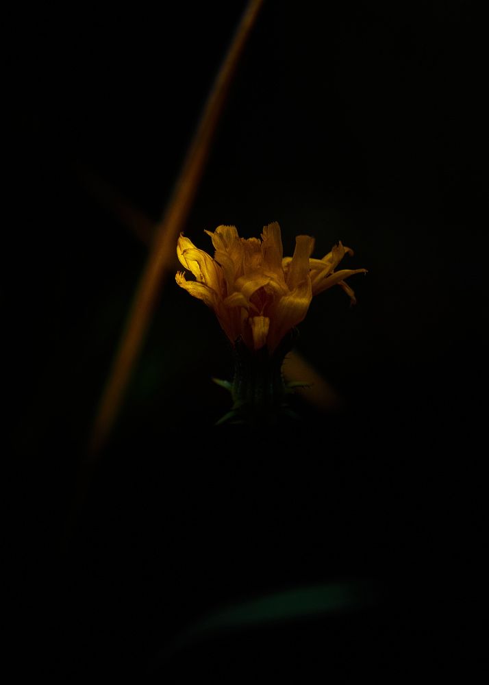 Photograph by Слава Саломатин