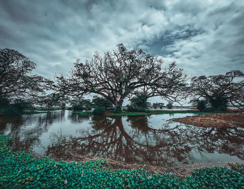 Photograph by Георгий