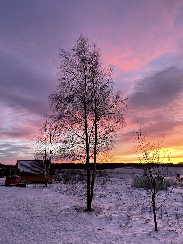 Photograph by Vladislav Pocius