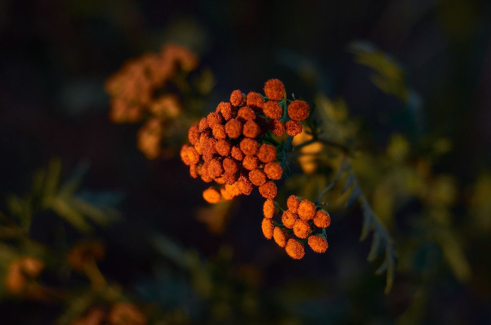 Photograph by Слава Саломатин