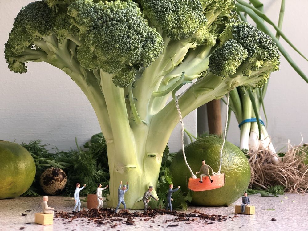 Photograph by Yankı Doğa Çınardal