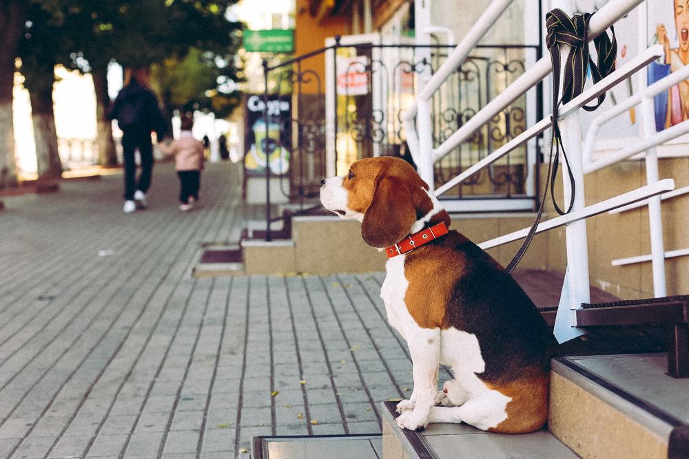 Photograph by Юлька Июньская