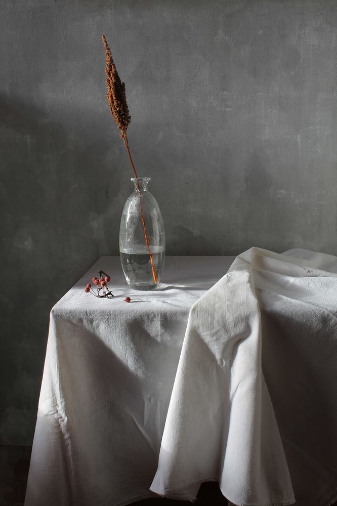 Photograph by Курочкина Диана