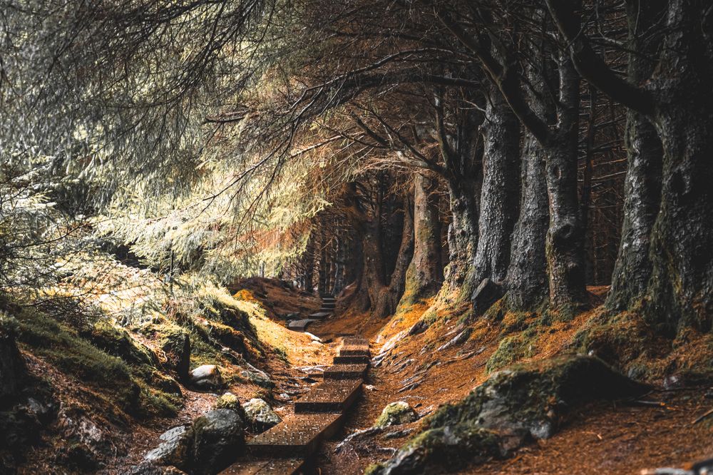 Photograph by Gaj Marek