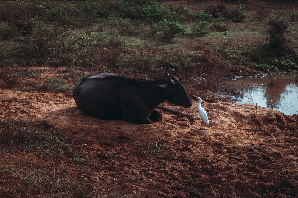 Photograph by Георгий