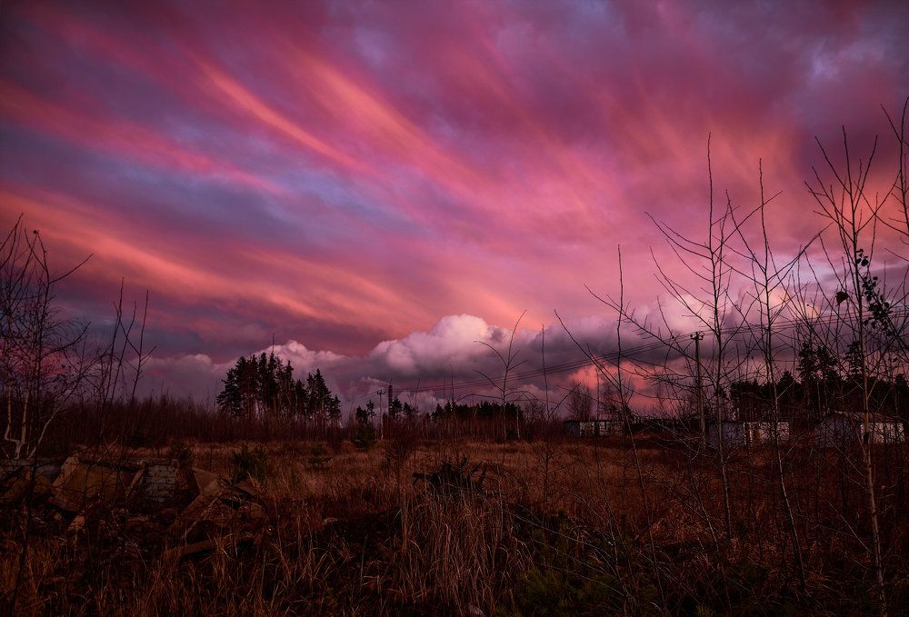 Photograph by Слава Саломатин