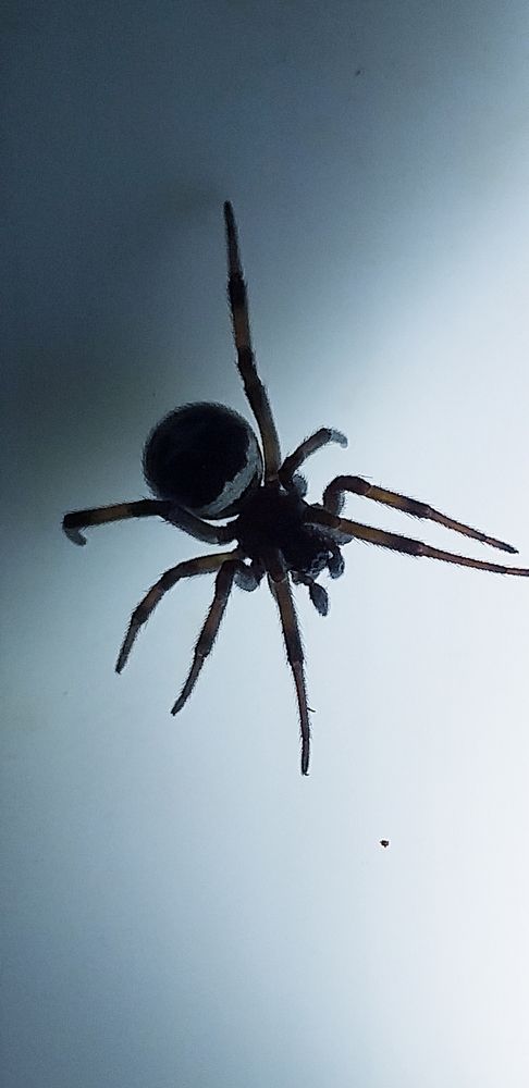 Photograph by Orzigul Babaniyozova