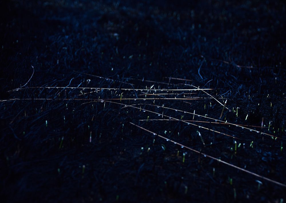 Photograph by Слава Саломатин