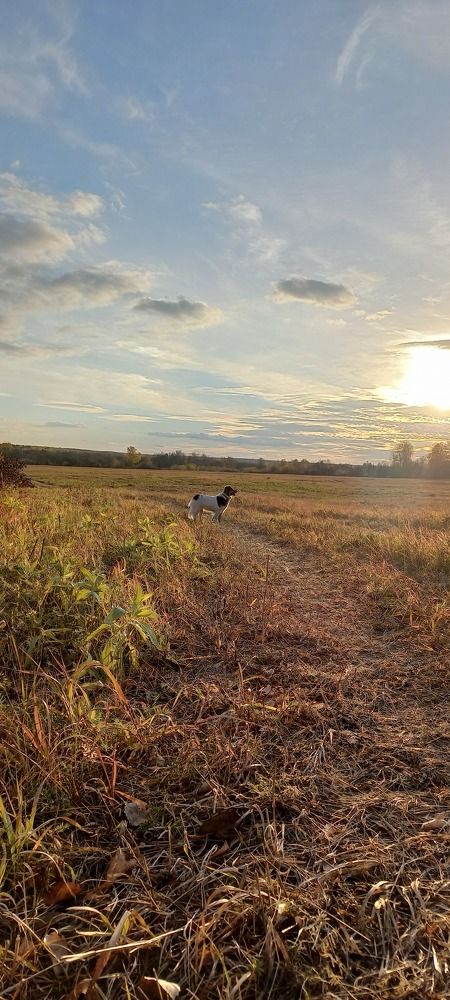 Мой верный друг