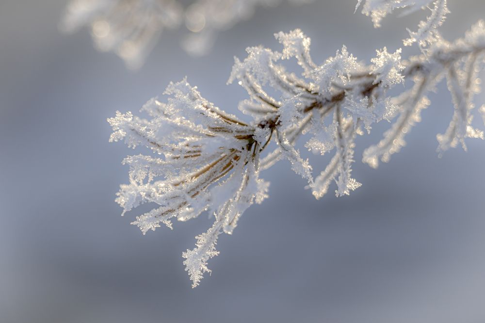 Зимняя вязь