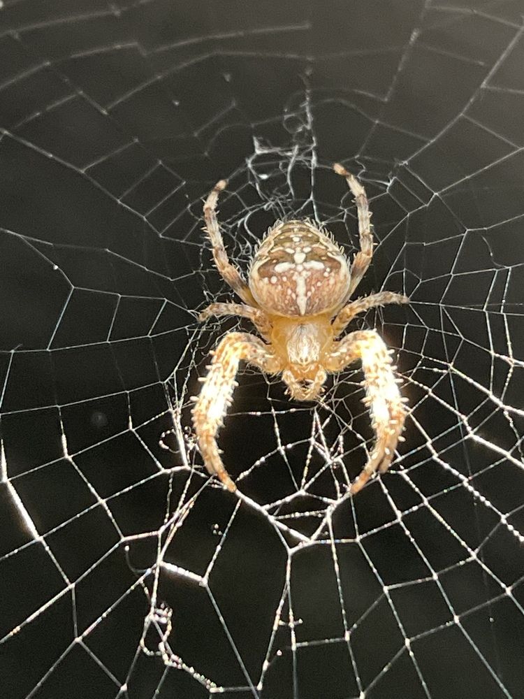 Photograph by Lila Sabbaghian Rad