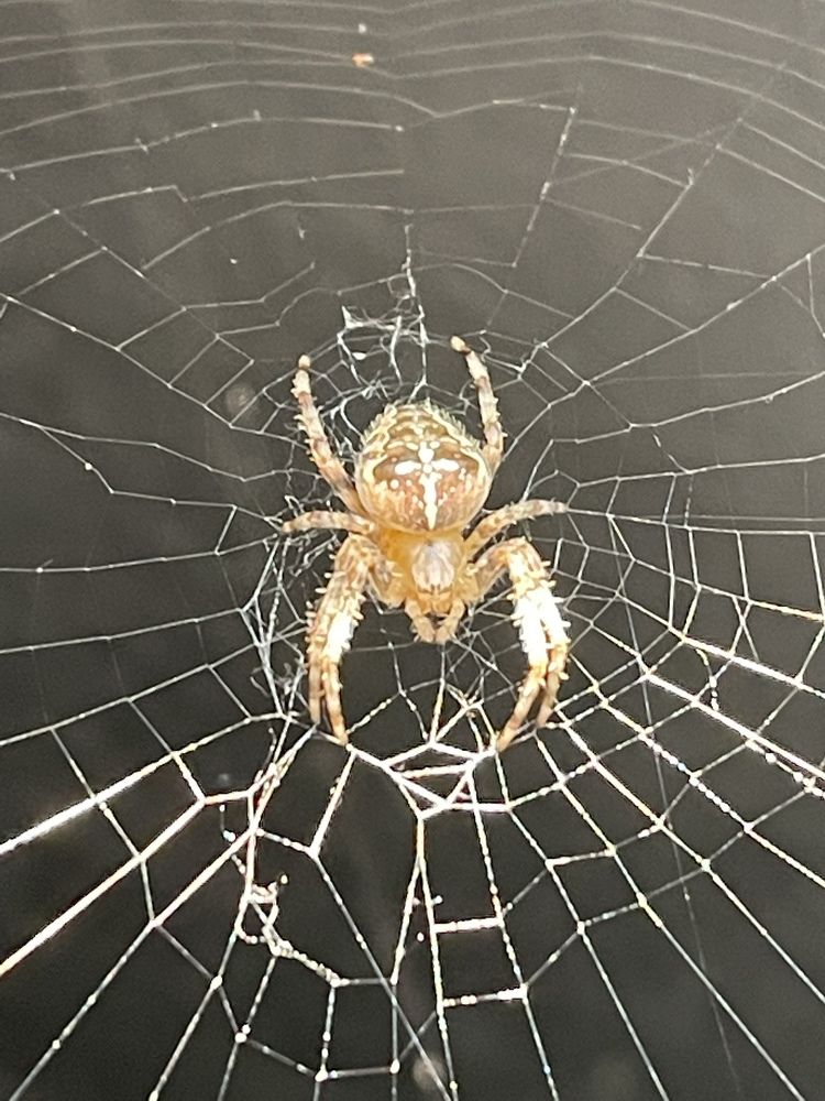 Photograph by Lila Sabbaghian Rad