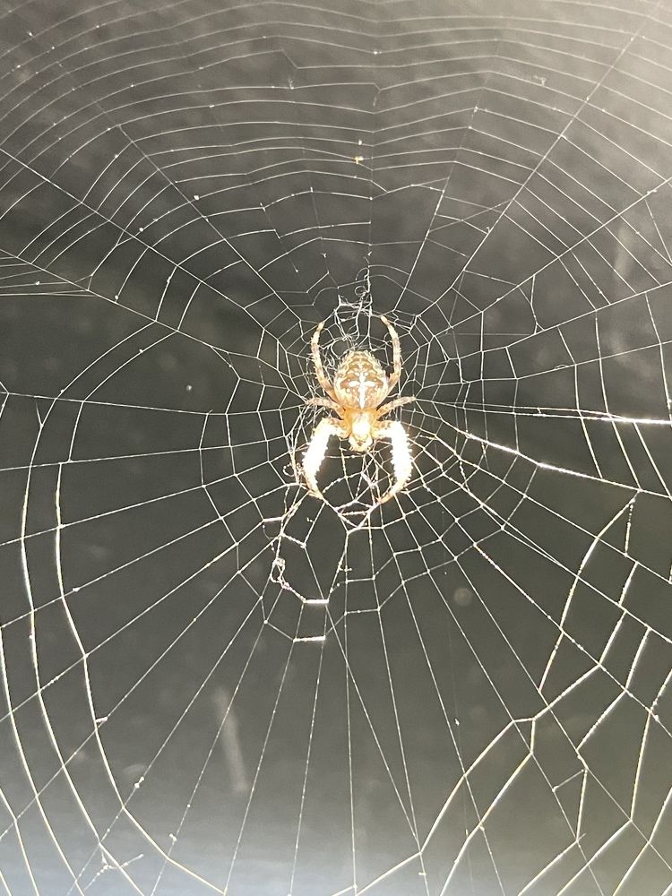 Photograph by Lila Sabbaghian Rad