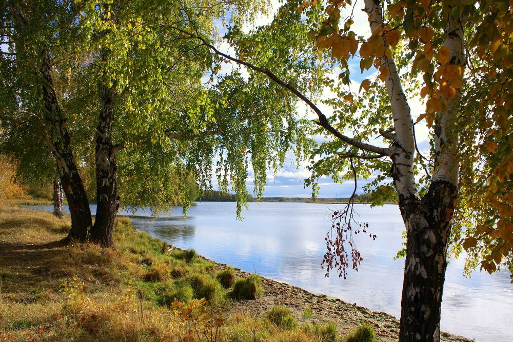Фотография автора Nelya  Lysenko