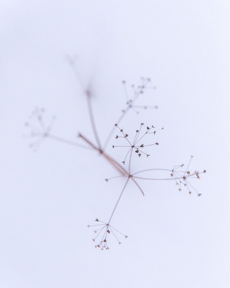 Photograph by Илья Шамин