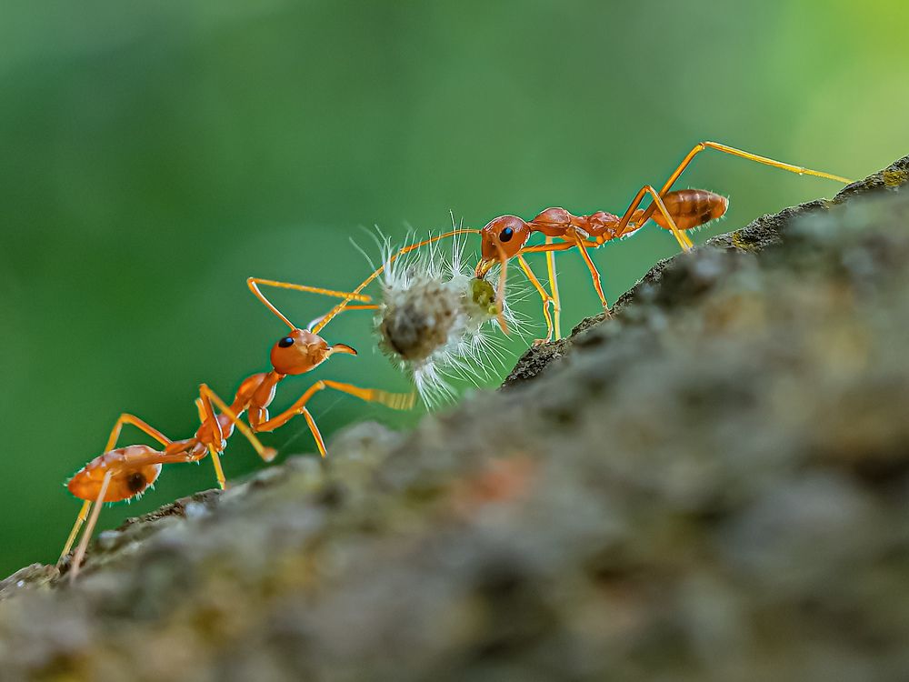 Delicious Breakfast ..