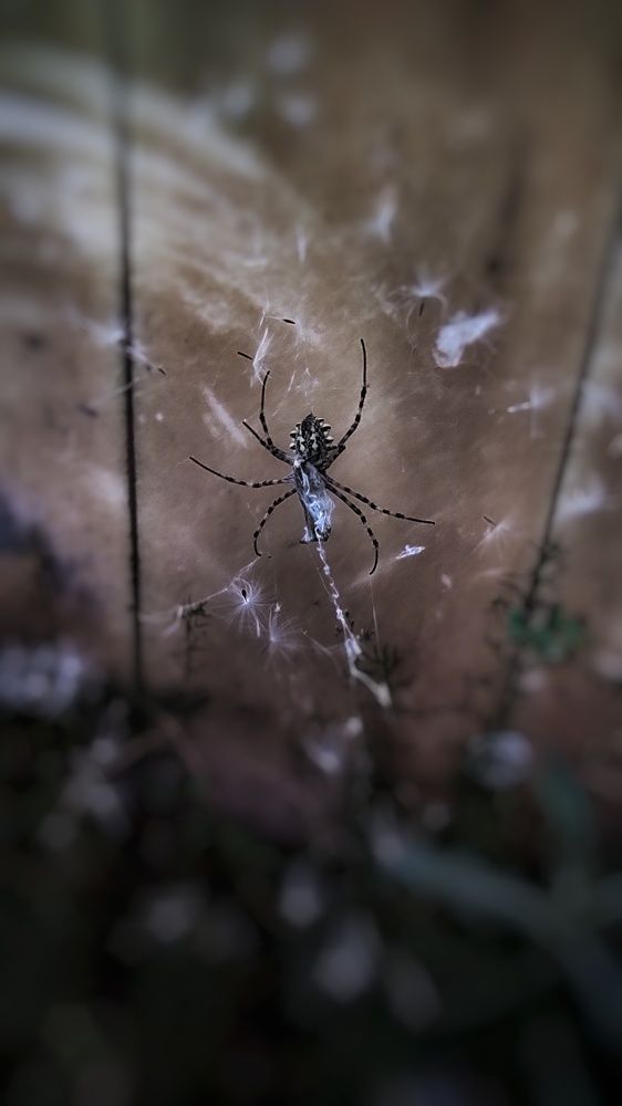 Photograph by Евгения Калугина