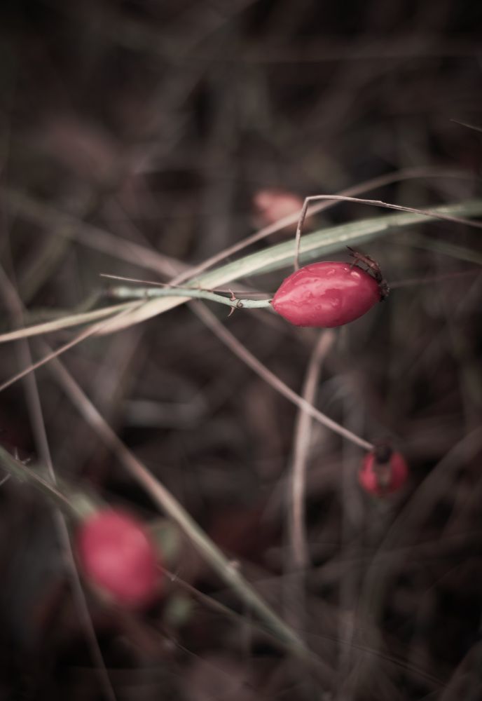 Photograph by Слава Саломатин