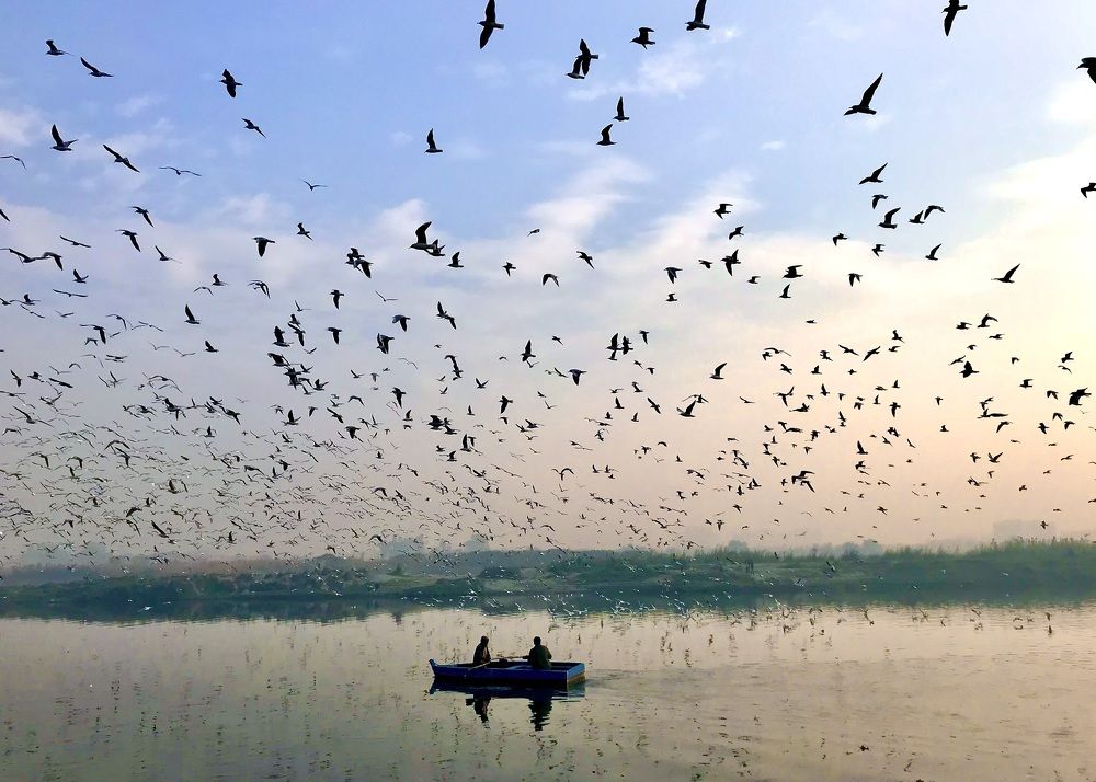 Photograph by Abhigya Jain