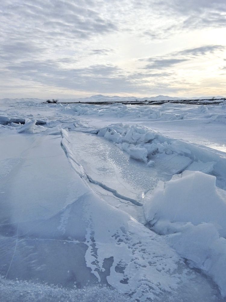 Ледяное царство