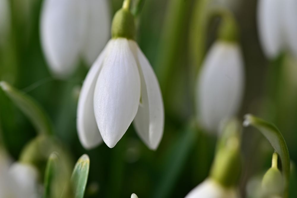 Photograph by Intars Supins