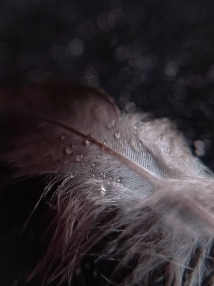 Photograph by Ксения Шпаковская