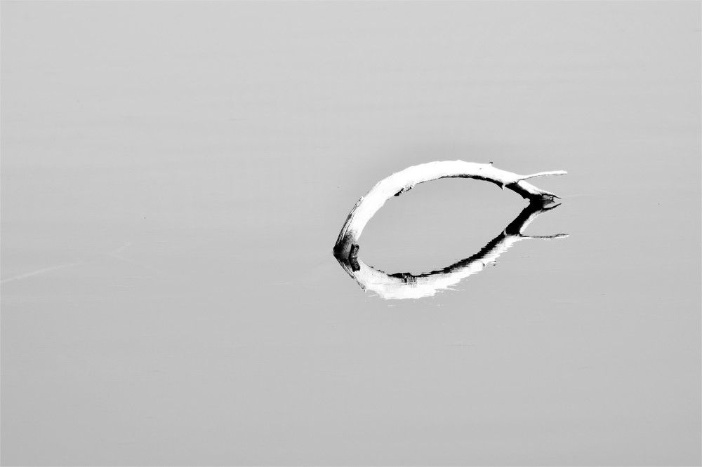 Photograph by Alfredo Jacquemard