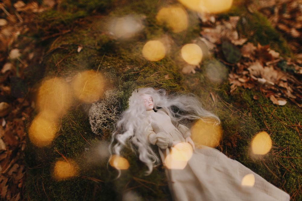 Оживая в лесу