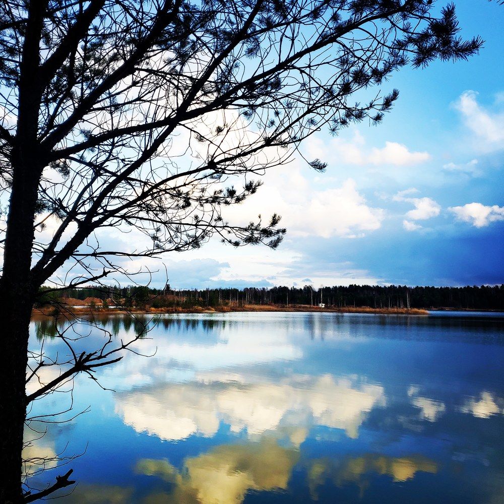 Photograph by Наталья Светлова