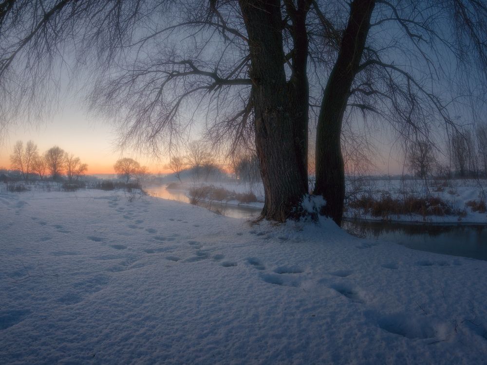 Photograph by Виктор Тулбанов