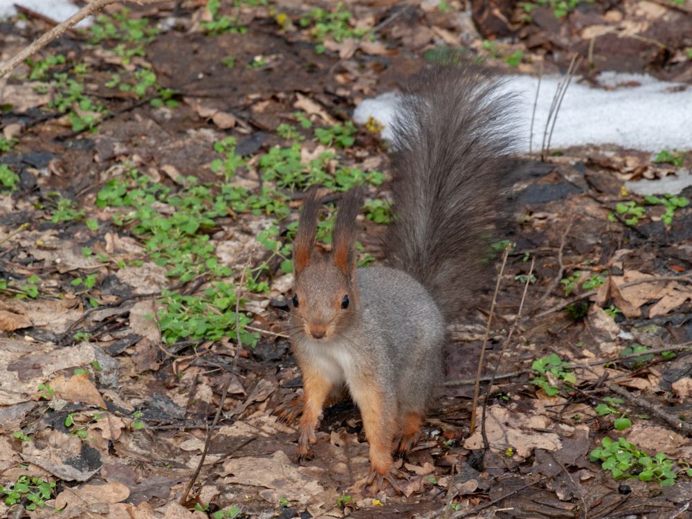 Photograph by Всеволод Маслов