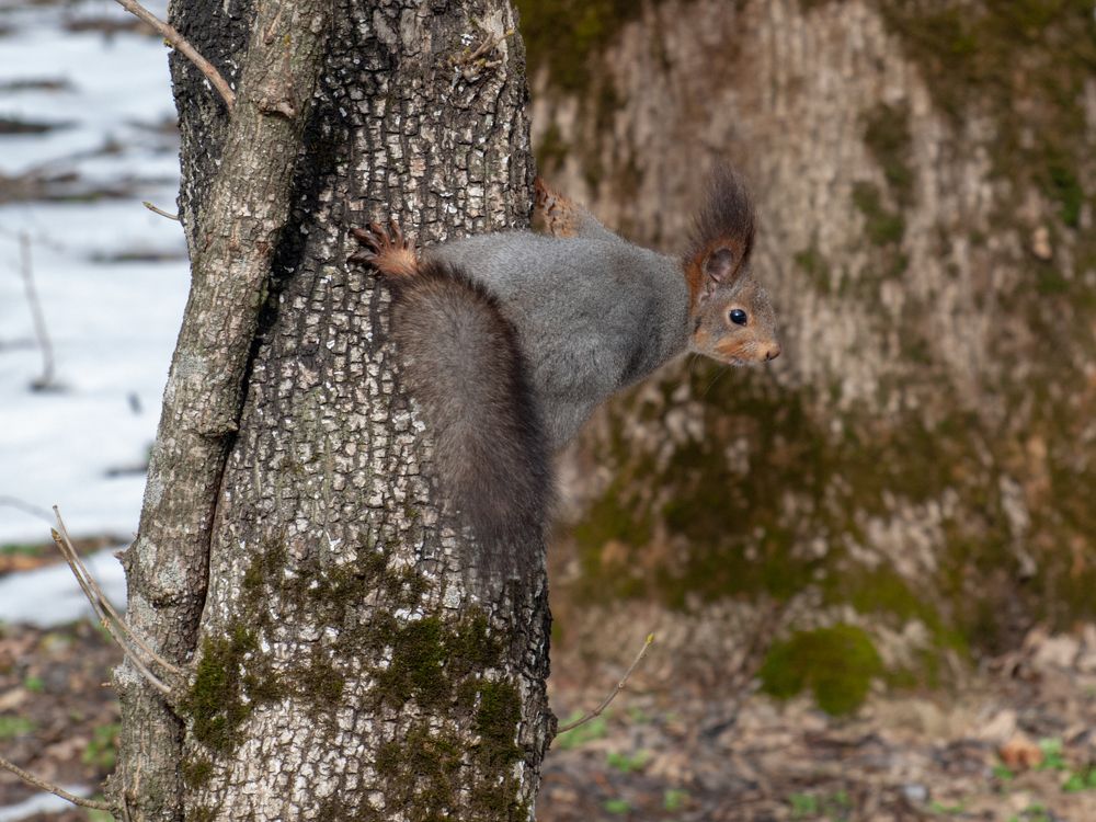 Photograph by Всеволод Маслов
