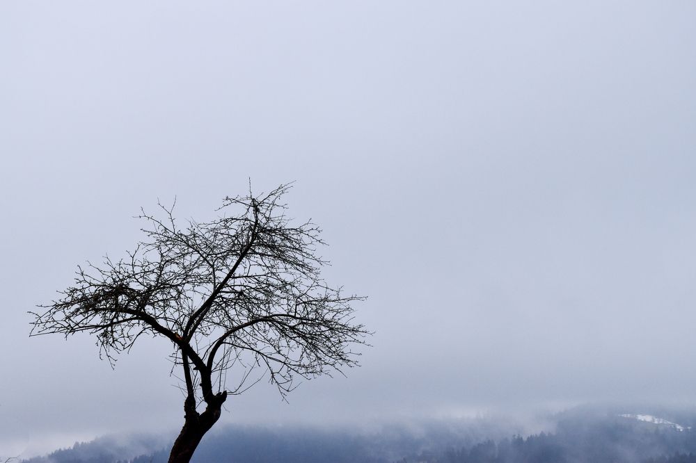 Photograph by Karolina Navodnik